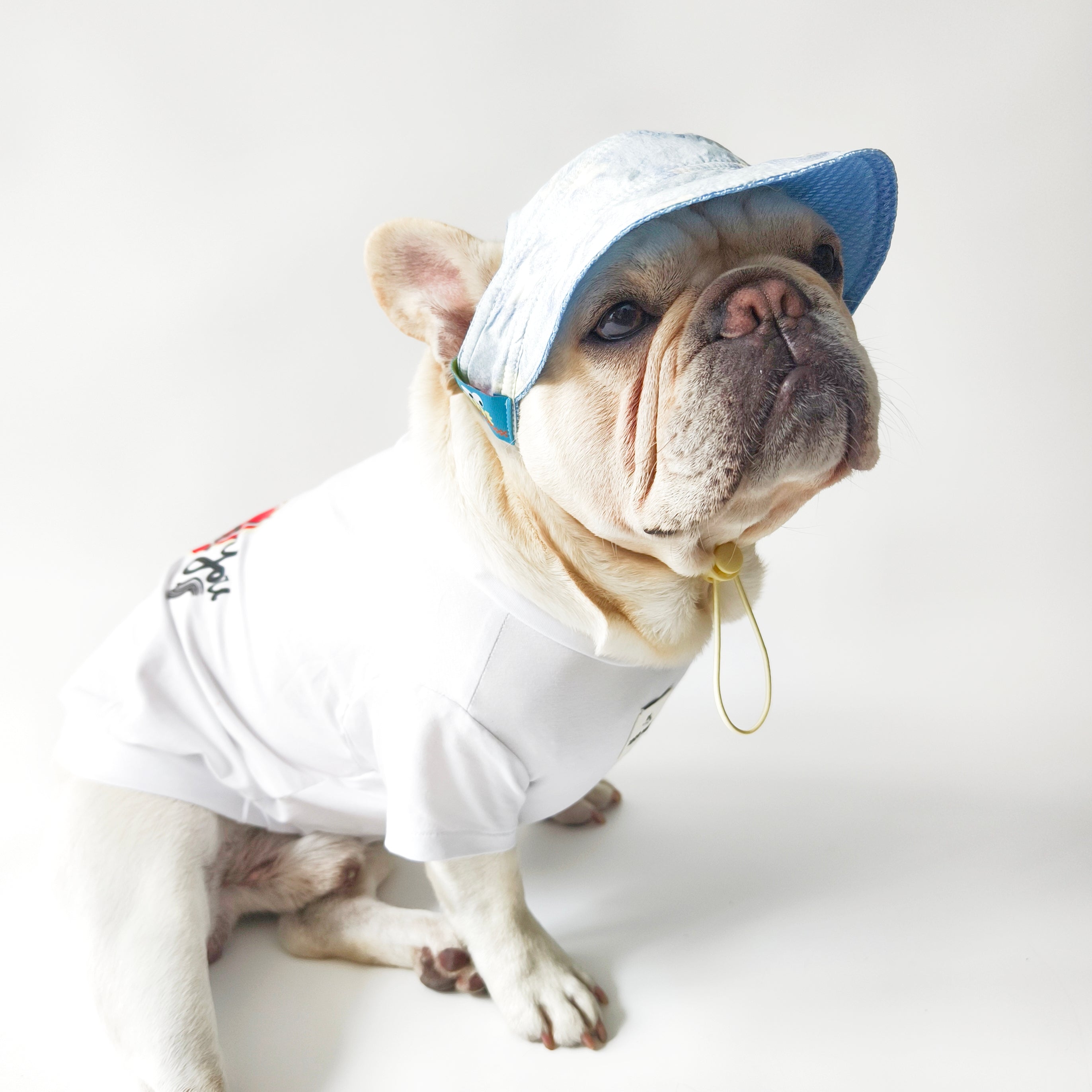 Frenchie Adjustable Cute Dog Hat for Outdoor Adventures-fadou