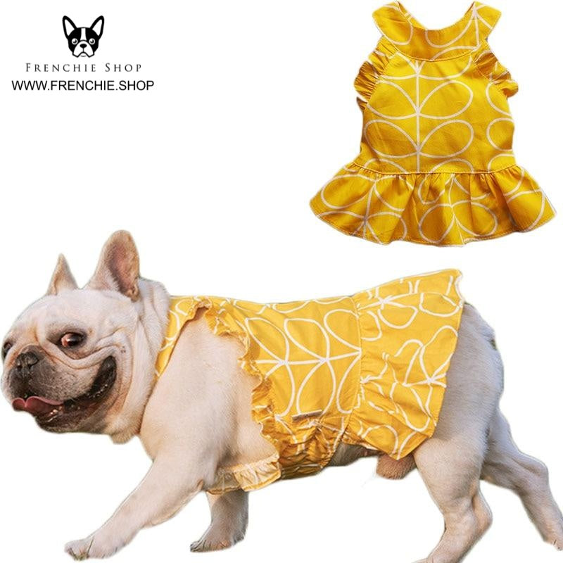 French Bulldog Summer Dog Outfit for Outdoor Adventures-fadou