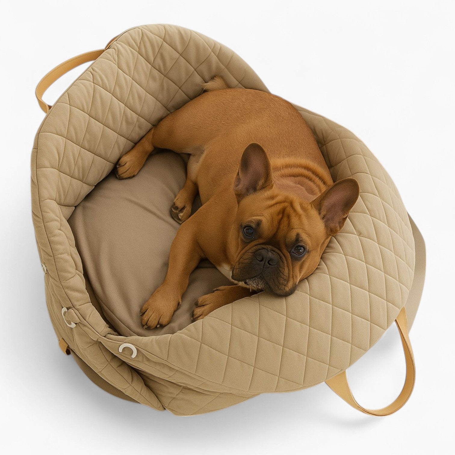 French Bulldog Portable Daily Backpack for Everyday Wear-fadou
