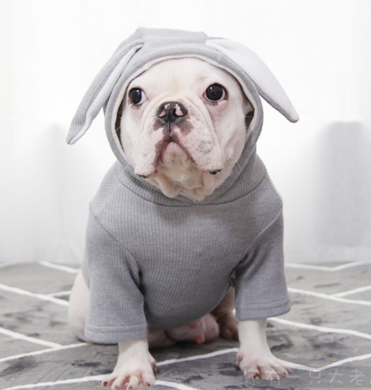 Rabbit French Bulldog Dog Mom Hoodie for Frenchie Enthusiasts-fadou