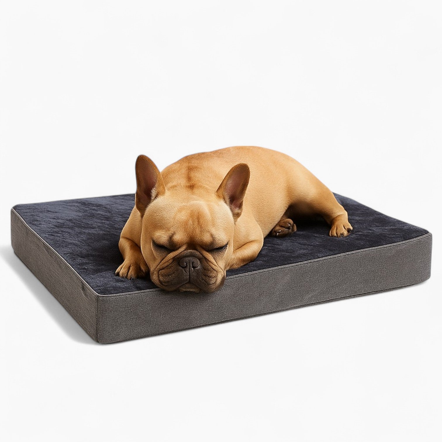 French Bulldog Orthopedic Cozy Sofa Bed for Playtime Fun-fadou
