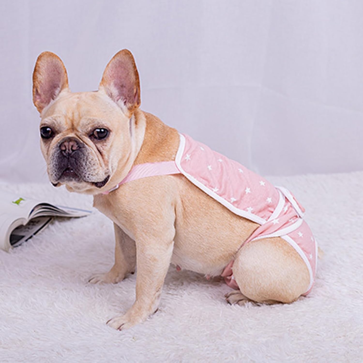 French Bulldog Absorbent Underwear for Flat-Face Breeds-fadou