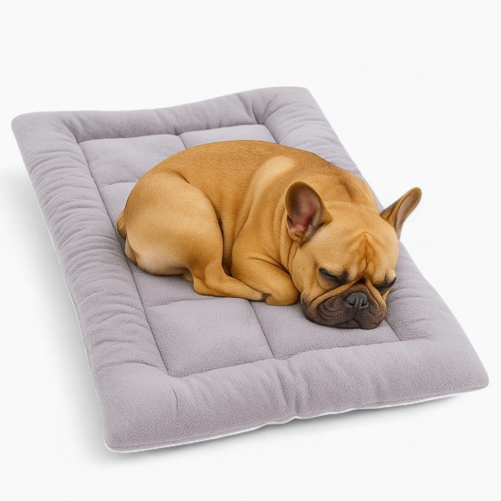 French Bulldog Comfortable Accessory for Frenchie Enthusiasts-fadou