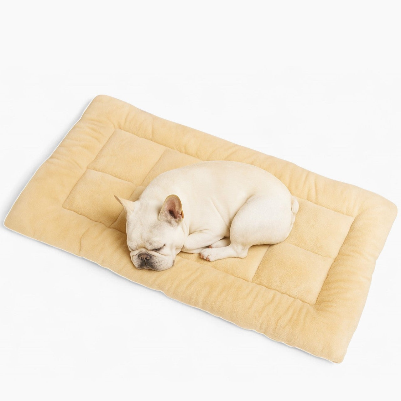French Bulldog Comfortable Accessory for Frenchie Enthusiasts-fadou