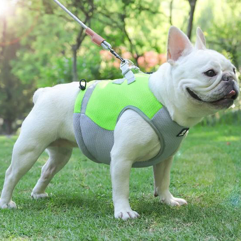 French Bulldog Breathable Walking Harness for Brachycephalic Dogs-fadou