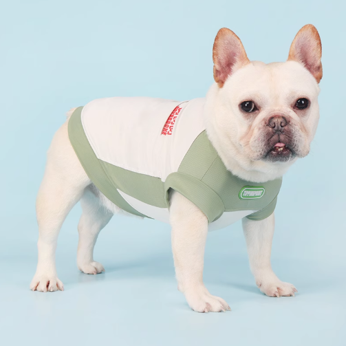 French Bulldog Breathable Accessory for Frenchie Enthusiasts-fadou