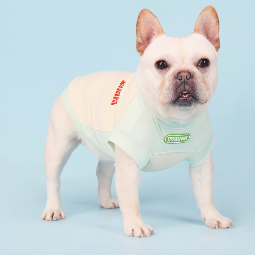 French Bulldog Breathable Accessory for Frenchie Enthusiasts-fadou