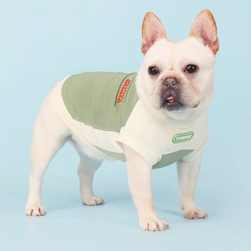 French Bulldog Breathable Accessory for Frenchie Enthusiasts-fadou