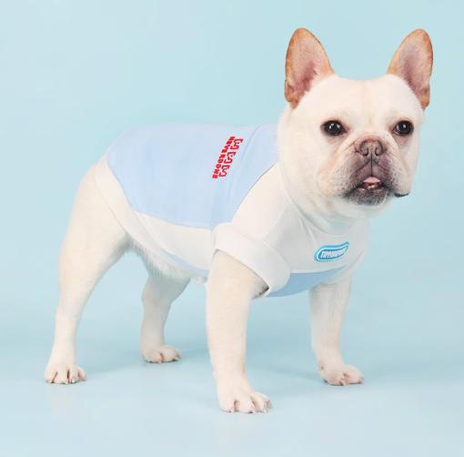 French Bulldog Breathable Accessory for Frenchie Enthusiasts-fadou