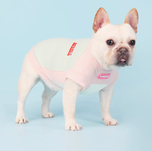 French Bulldog Breathable Accessory for Frenchie Enthusiasts-fadou