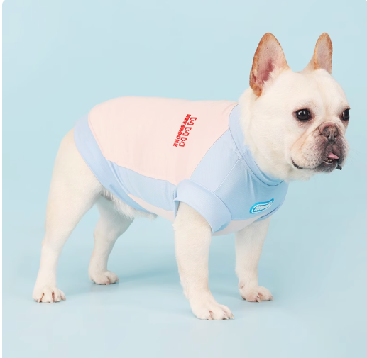 French Bulldog Breathable Accessory for Frenchie Enthusiasts-fadou