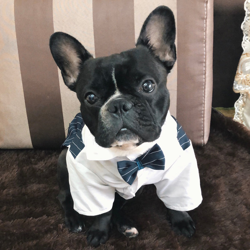 Bowgan French Bulldog Halloween Cosplay for Travel Comfort-fadou