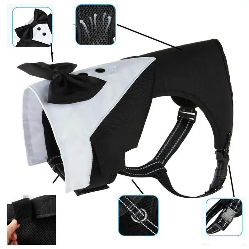 French Bulldog Tuxedo Harness – Formal Dog Suit for French Bulldogs-fadou