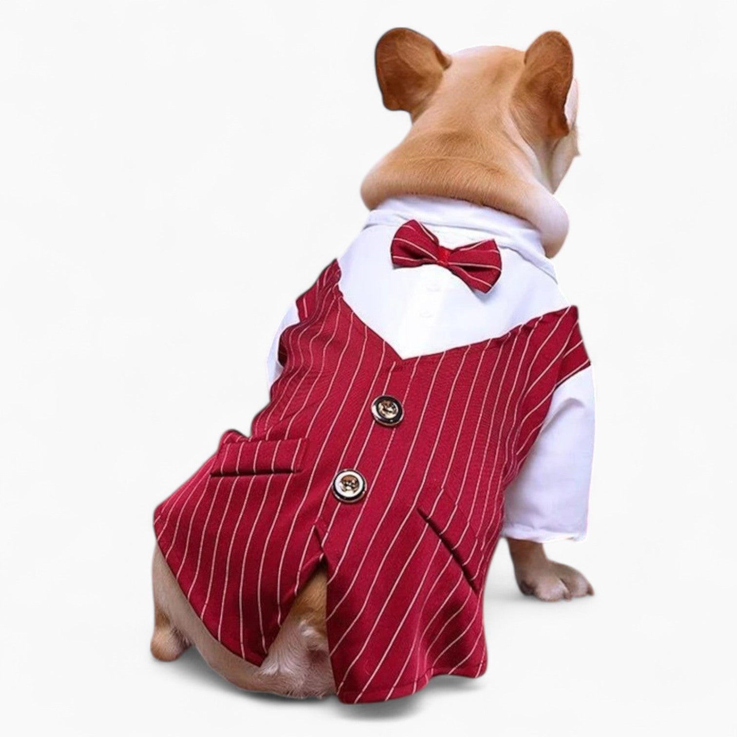 Bowgan French Bulldog Halloween Cosplay for Travel Comfort-fadou