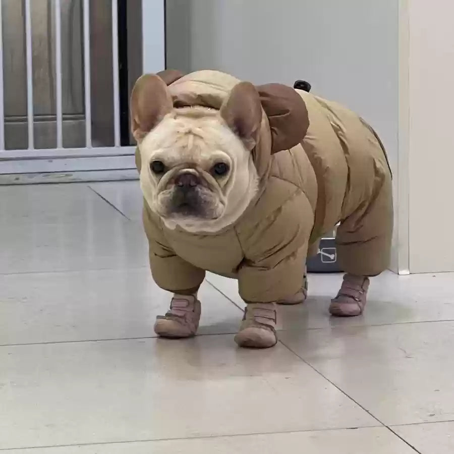 French Bulldog Warm Festive Costume for French Bulldogs-fadou