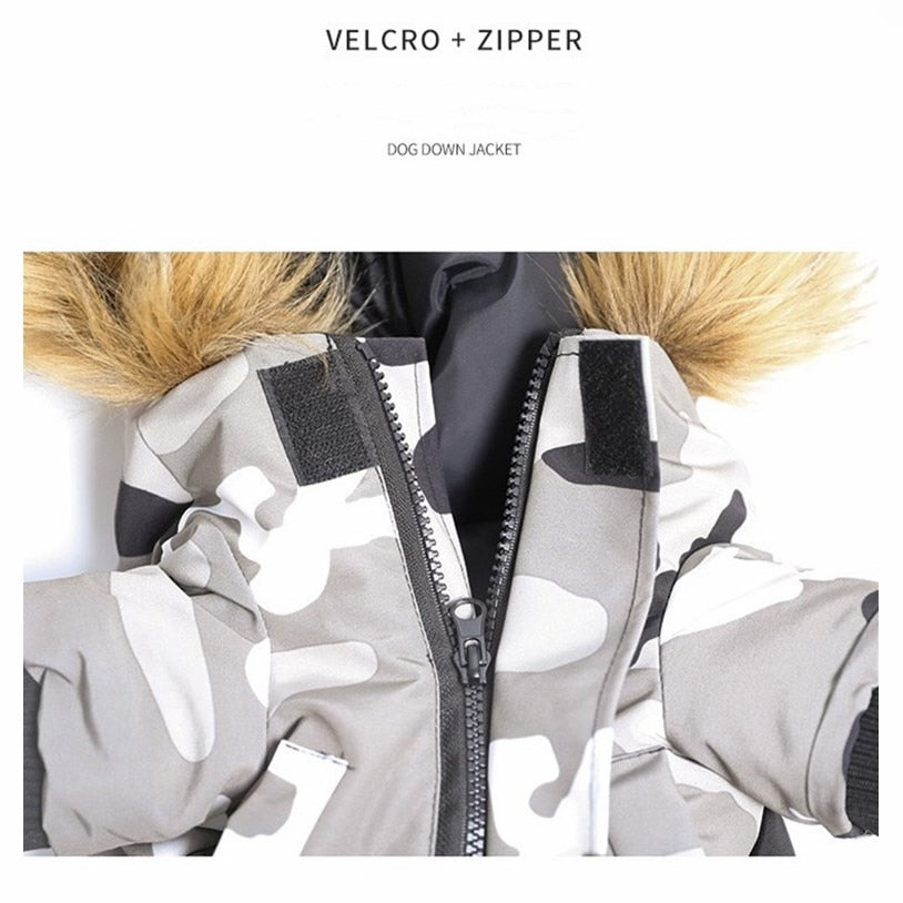 French Bulldog Winter Winter Jacket for French Bulldogs-fadou