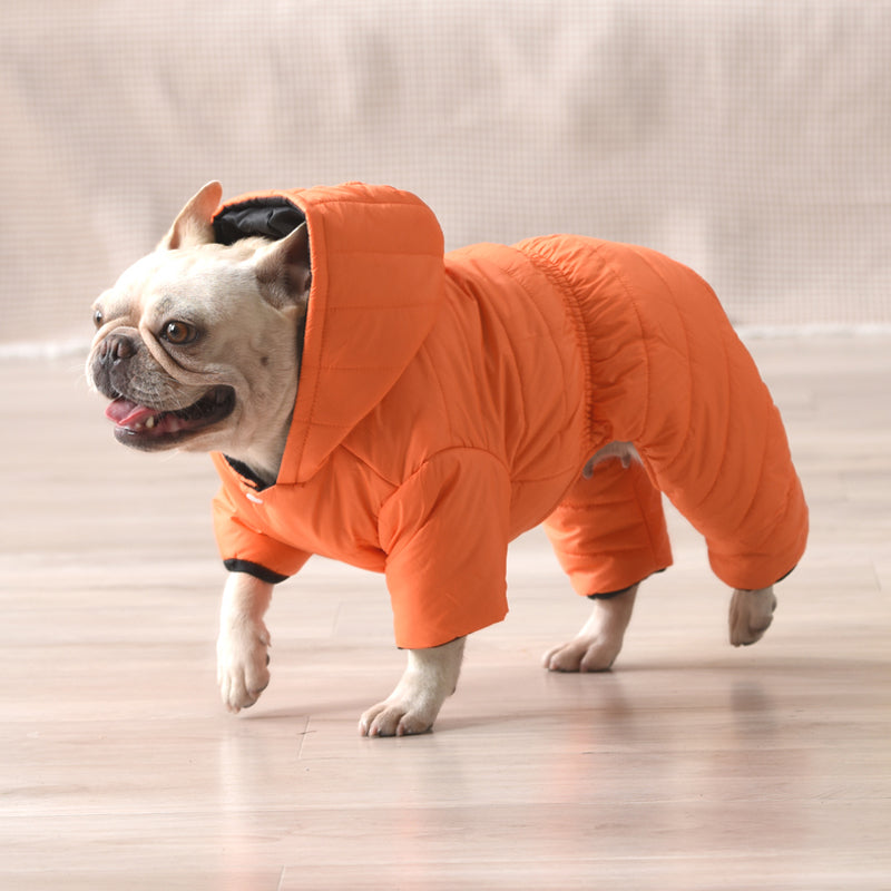 French Bulldog Windproof Pet Jacket for Outdoor Adventures-fadou