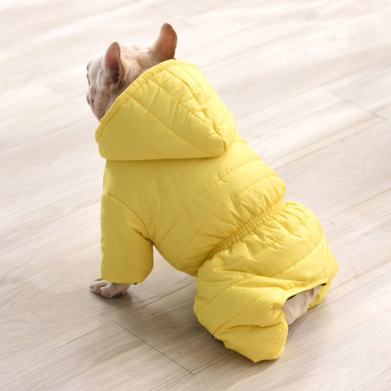 French Bulldog Windproof Pet Jacket for Outdoor Adventures-fadou