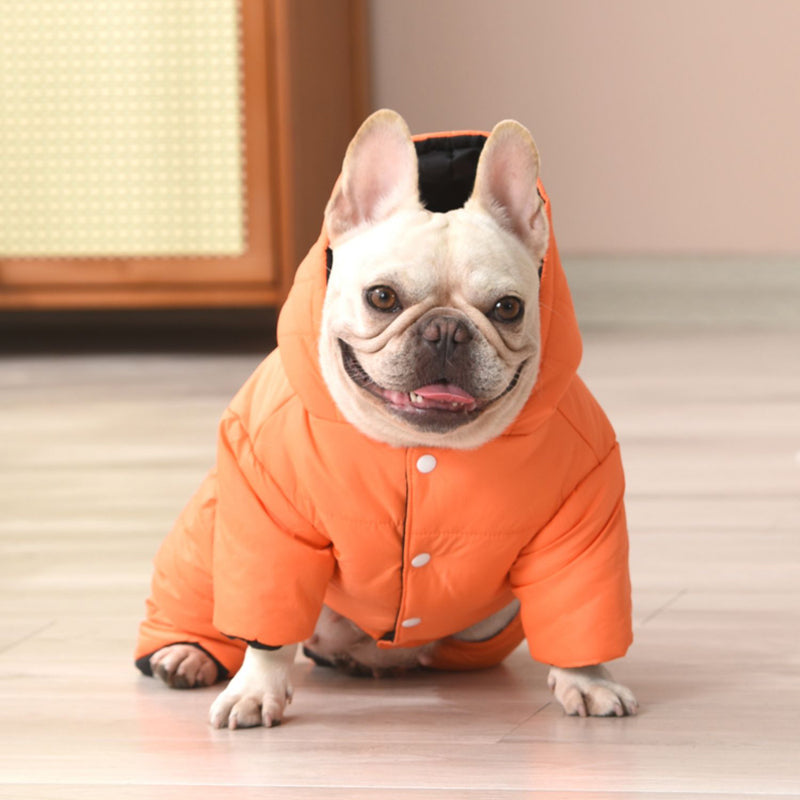 French Bulldog Windproof Pet Jacket for Outdoor Adventures-fadou