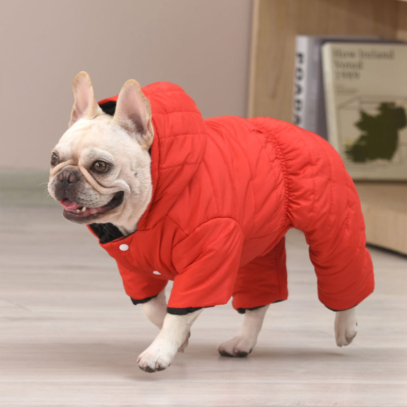 French Bulldog Windproof Pet Jacket for Outdoor Adventures-fadou