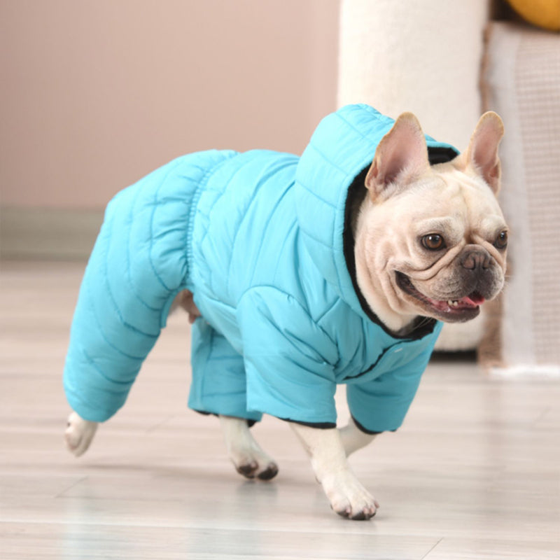 French Bulldog Windproof Pet Jacket for Outdoor Adventures-fadou