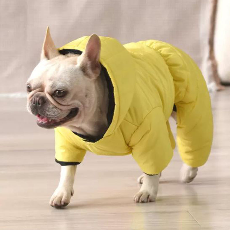 French Bulldog Windproof Pet Jacket for Outdoor Adventures-fadou