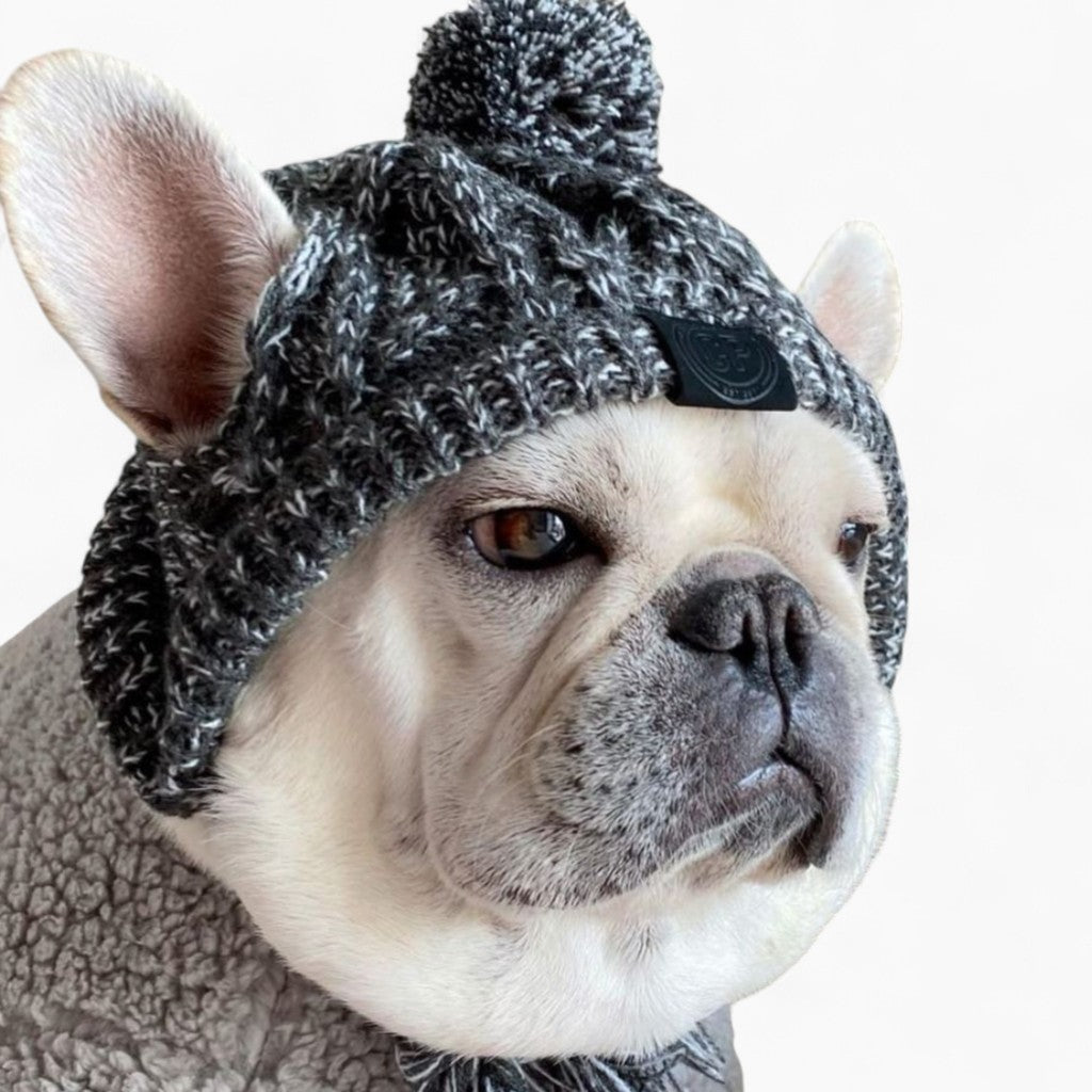French Bulldog Winter Sun Headwear for Outdoor Adventures-fadou