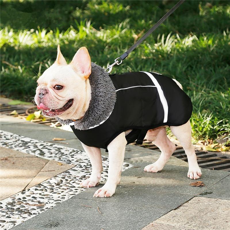 Warm Coat for Frenchie for French Bulldog Owners and Fans-fadou