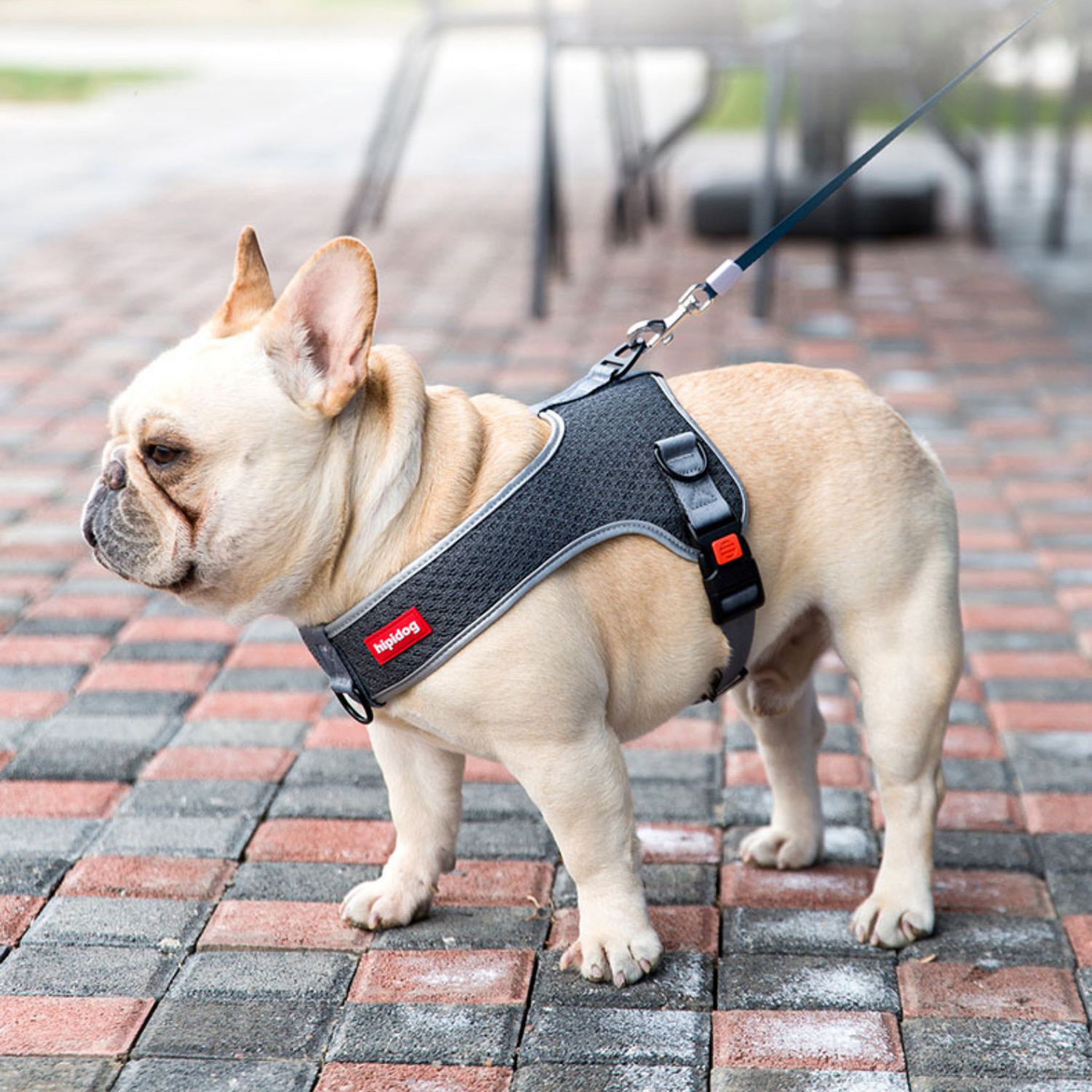 French Bulldog Premium Dog Harness for Brachycephalic Dogs-fadou