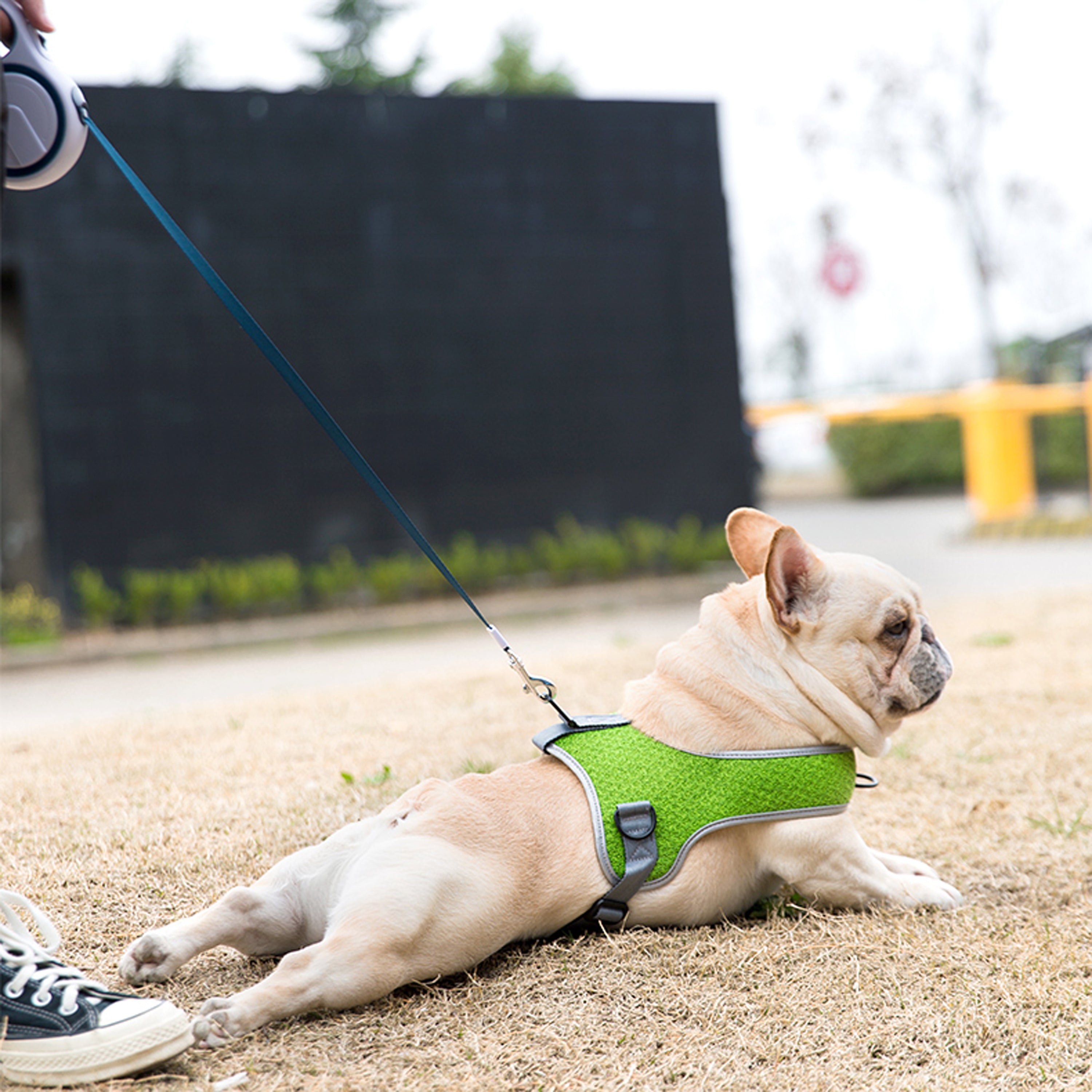 French Bulldog Premium Dog Harness for Brachycephalic Dogs-fadou