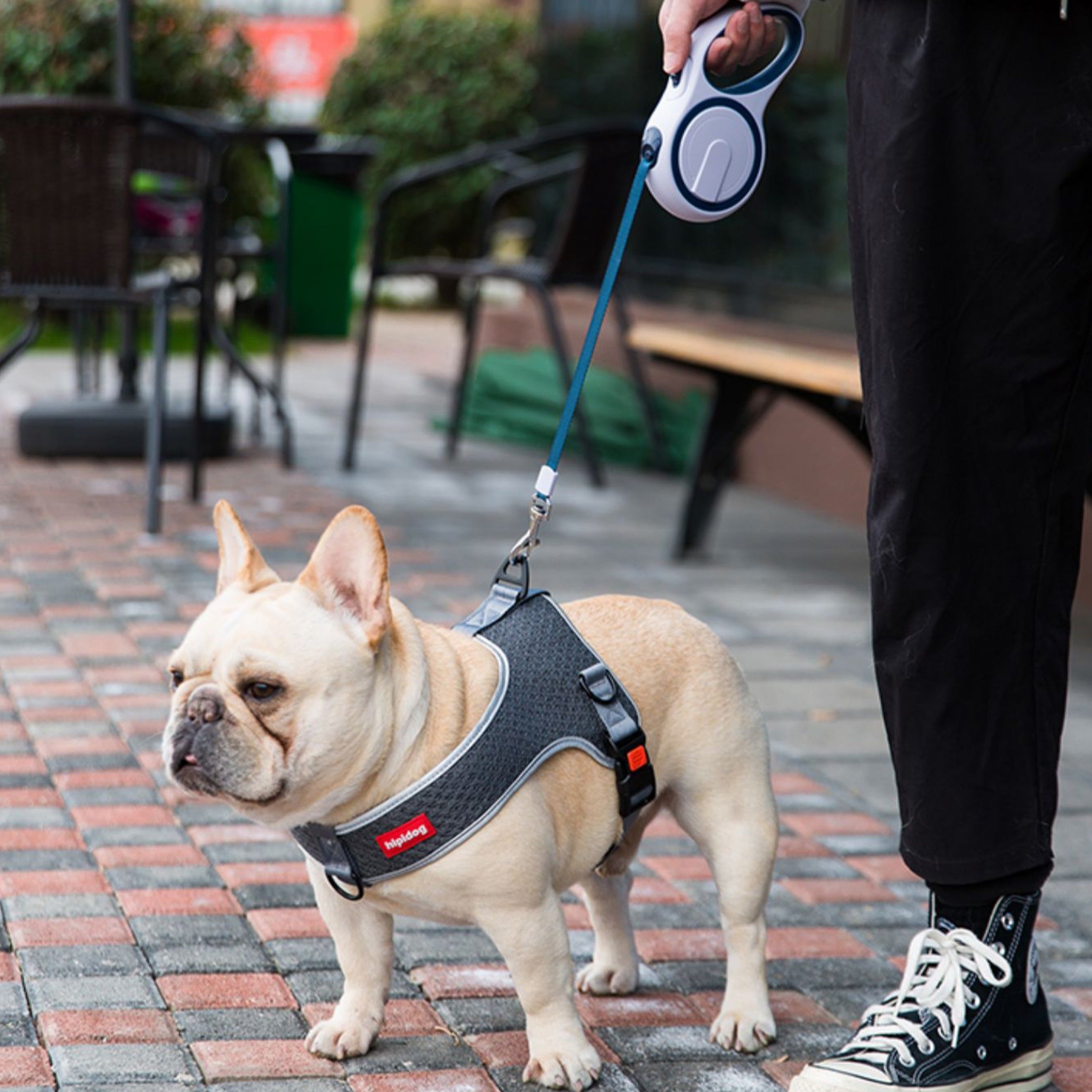 French Bulldog Premium Dog Harness for Brachycephalic Dogs-fadou