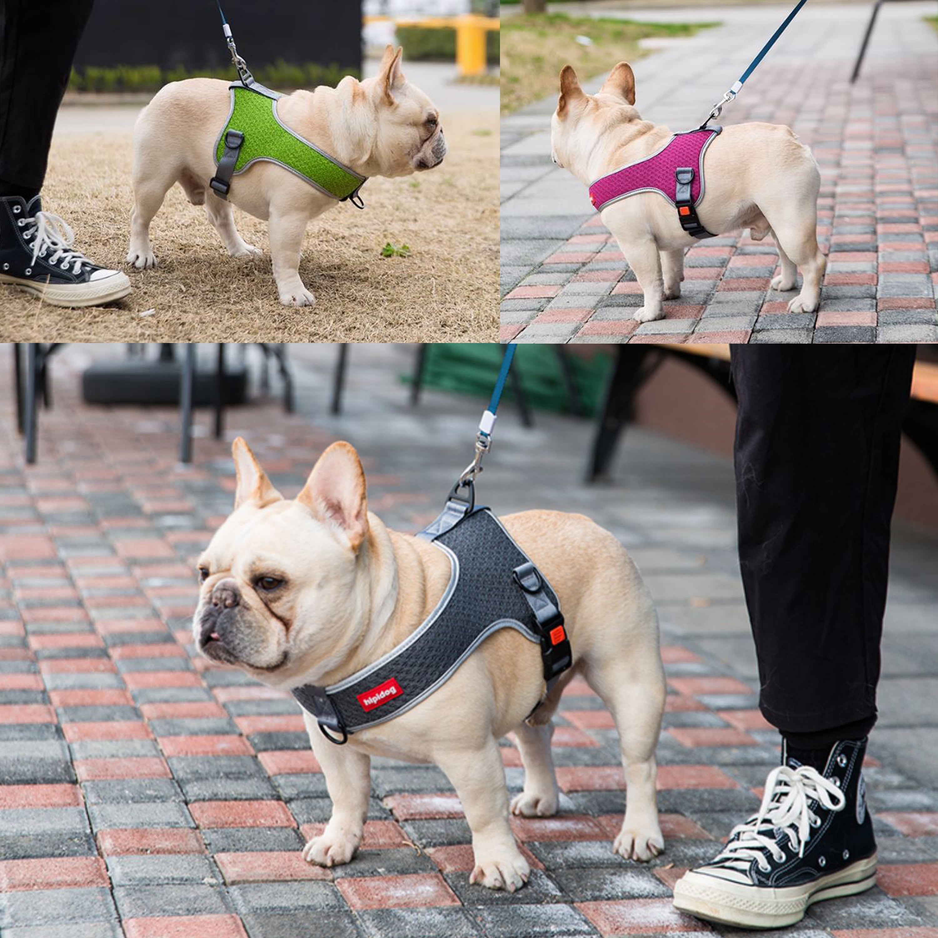 French Bulldog Premium Dog Harness for Brachycephalic Dogs-fadou