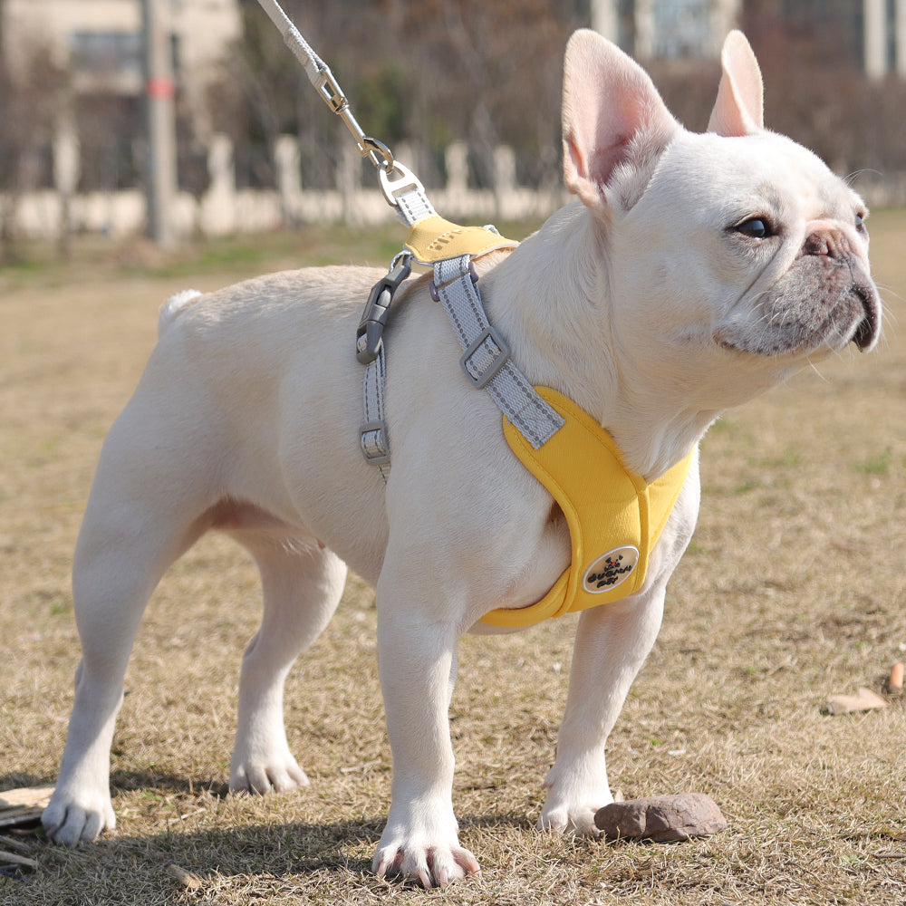 French Bulldog Breathable Chest Harness for Flat-Face Breeds-fadou