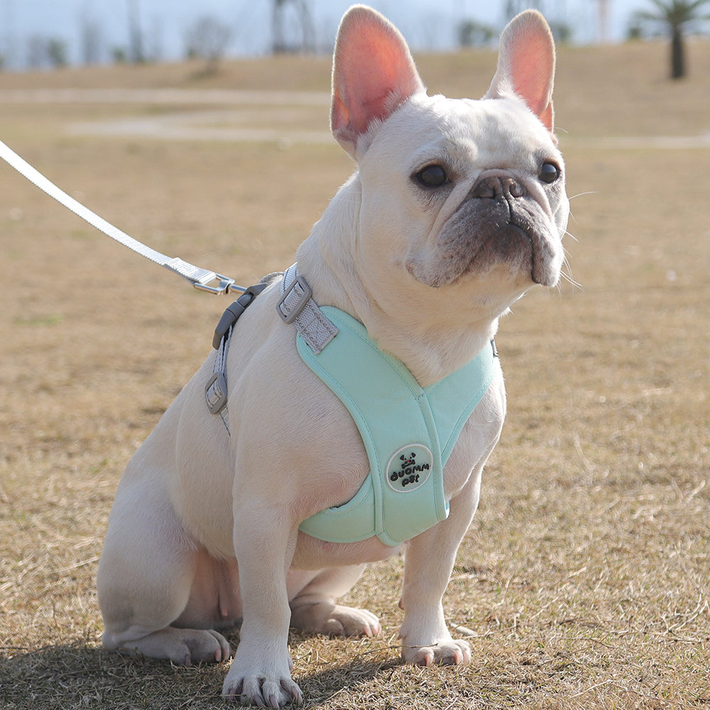 French Bulldog Breathable Chest Harness for Flat-Face Breeds-fadou