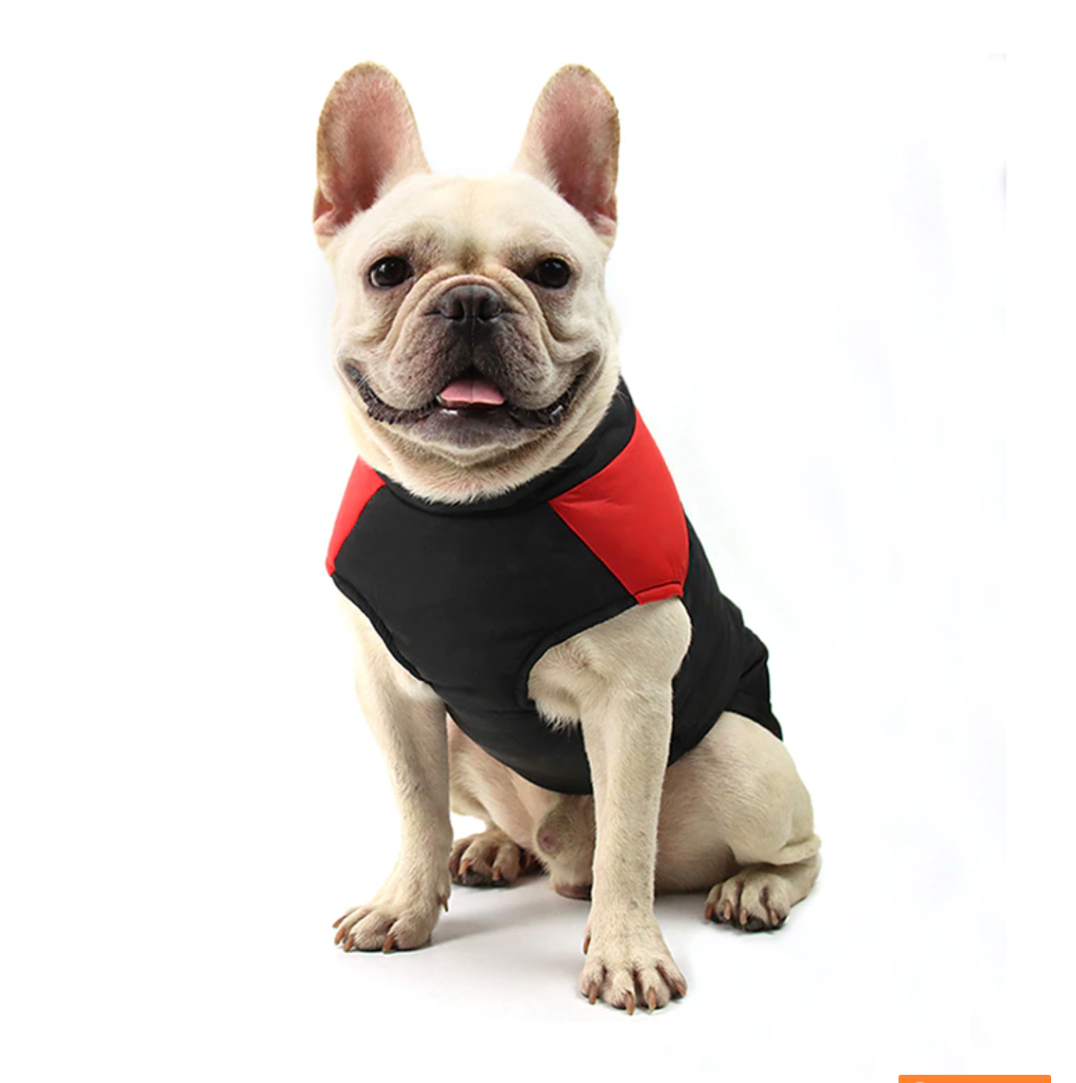 French Bulldog Waterproof Winter Jacket for Cozy Nights-fadou