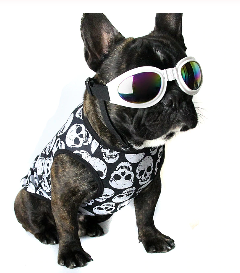 Skull French Bulldog Cotton Tee for Brachycephalic Dogs-fadou