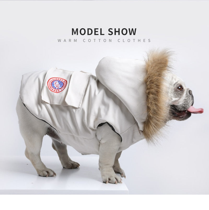 French Bulldog Winter Pet Product for Training Sessions-fadou