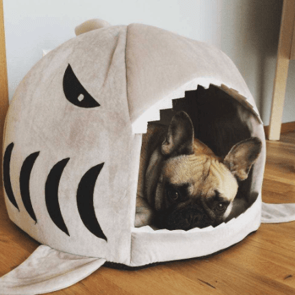 House French Bulldog Cozy Sofa Bed for Flat-Face Breeds-fadou