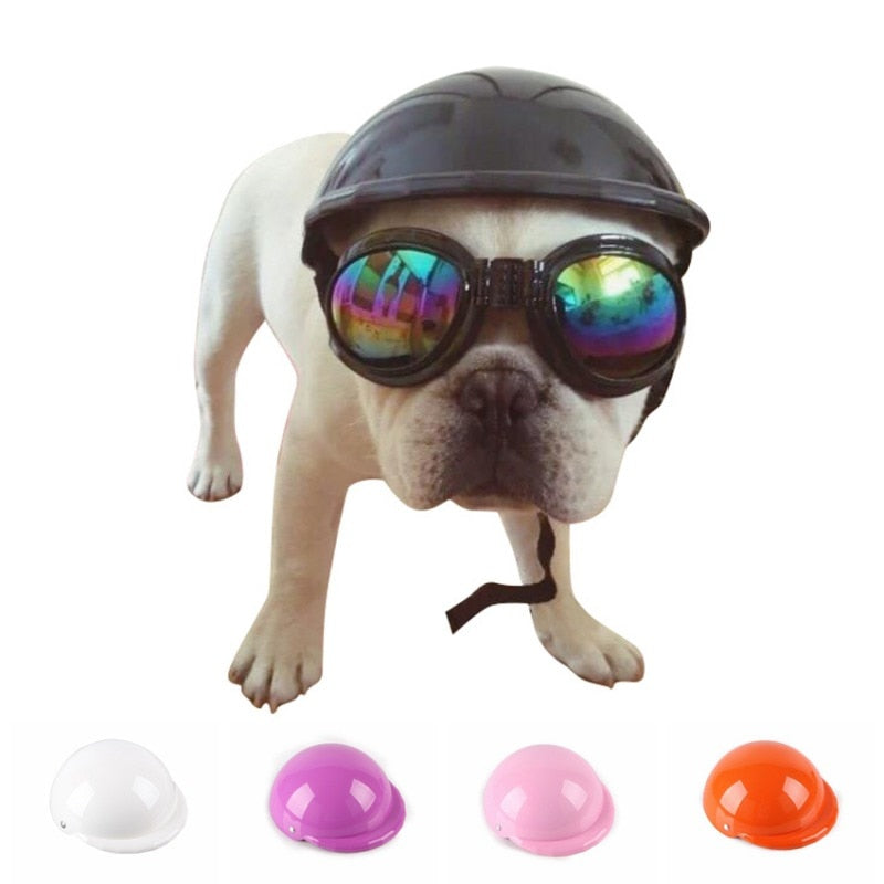 Ultimate French Bulldog Accessory for Frenchie Enthusiasts-fadou