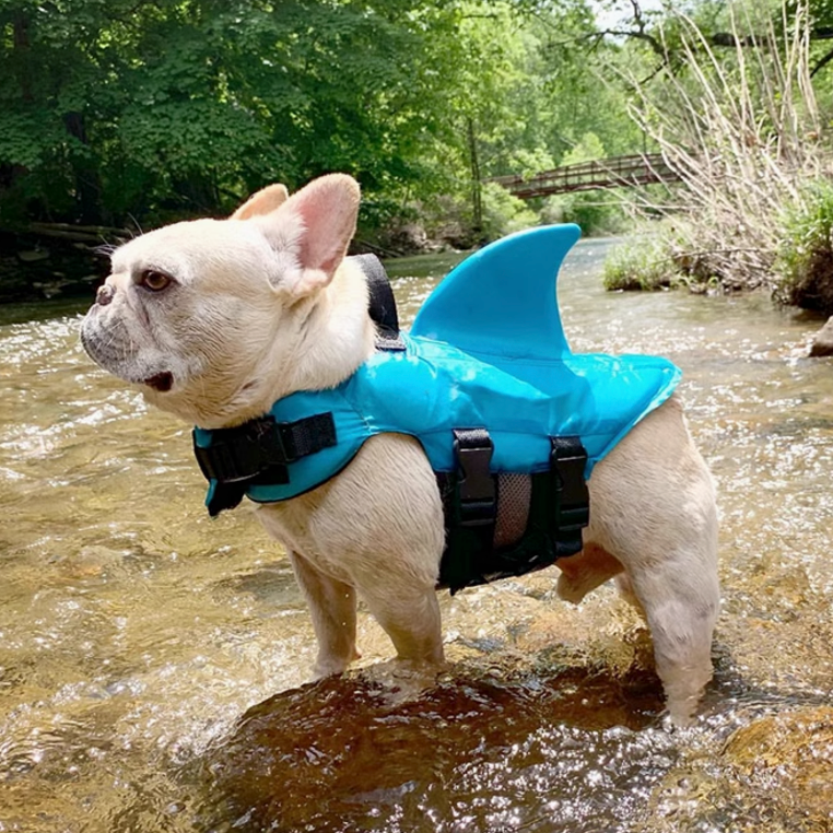 Shark Life Vest V2 for French Bulldog Owners and Fans for Frenchies-fadou