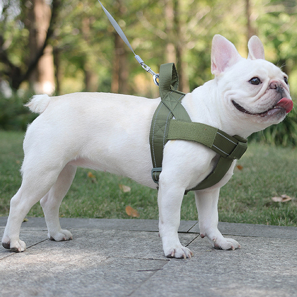 Frenchie Personalized Dog Harness for Brachycephalic Dogs-fadou