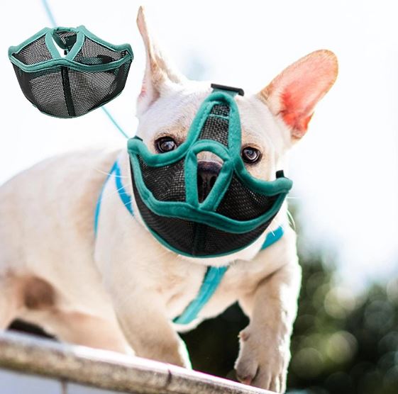 French Bulldog Soft Training Muzzle for French Bulldogs-fadou