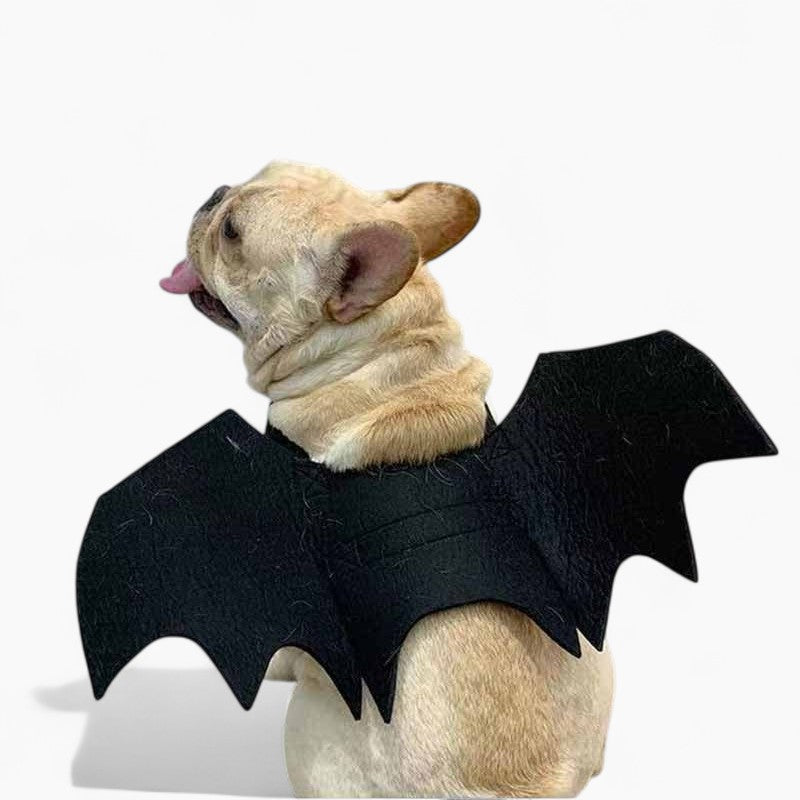 Frenchie Halloween Halloween Cosplay for Short-Nosed Dogs-fadou