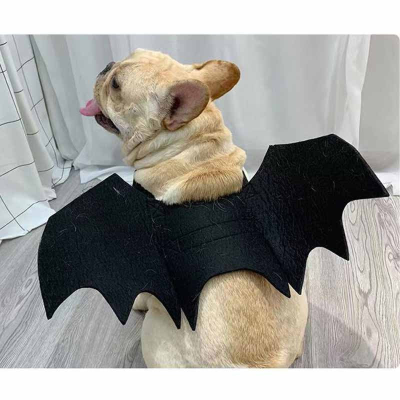 Frenchie Halloween Halloween Cosplay for Short-Nosed Dogs-fadou