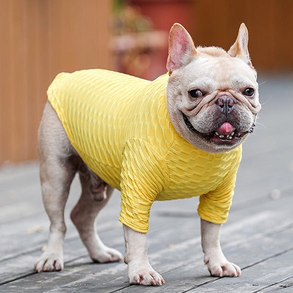 FrenchieCozy French Bulldog Item for Frenchie Enthusiasts-fadou