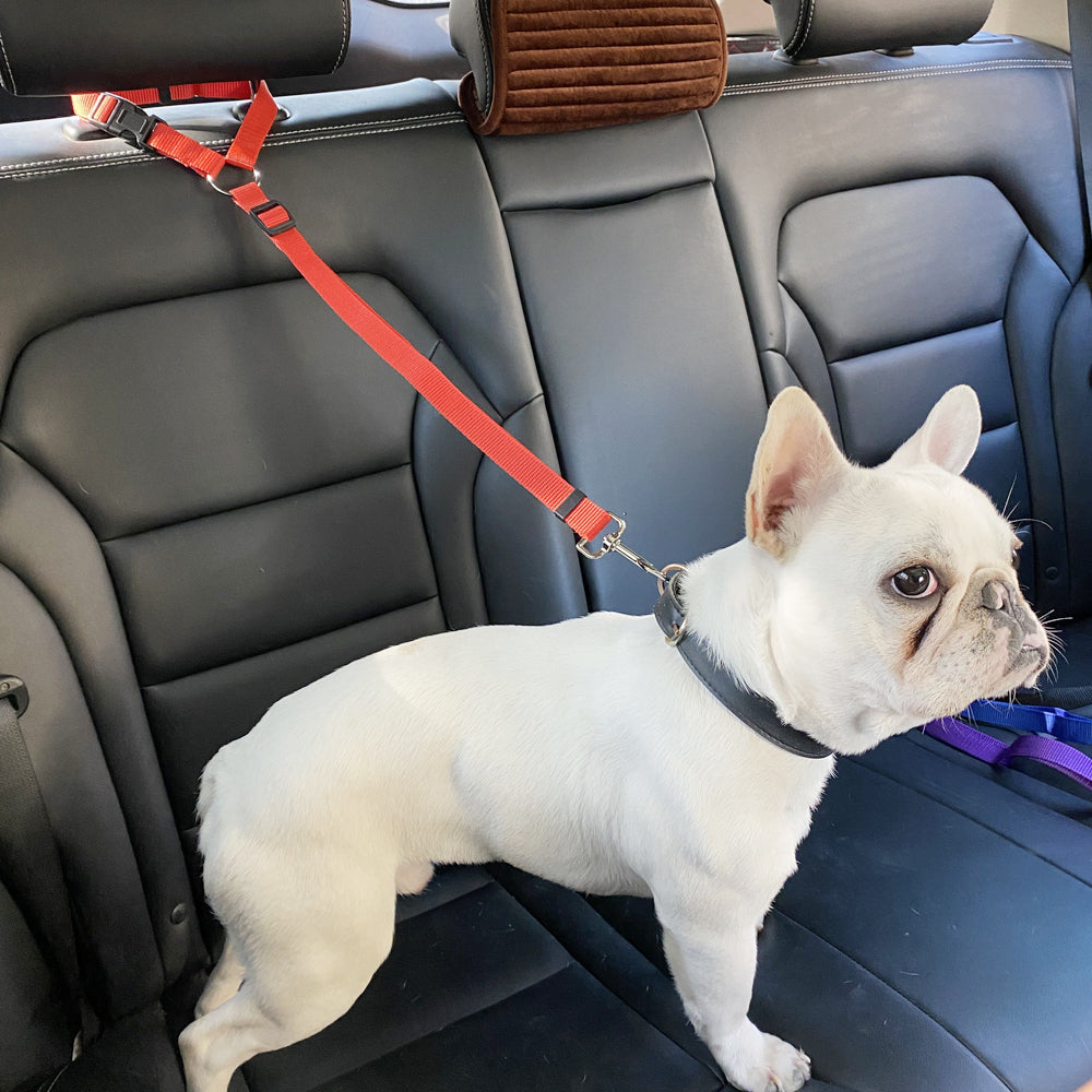 French Bulldog Safe Chest Harness for Brachycephalic Dogs-fadou