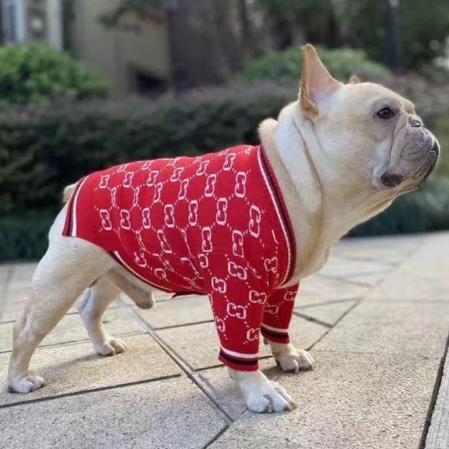 French Bulldog Winter Accessory for Frenchie Enthusiasts-fadou