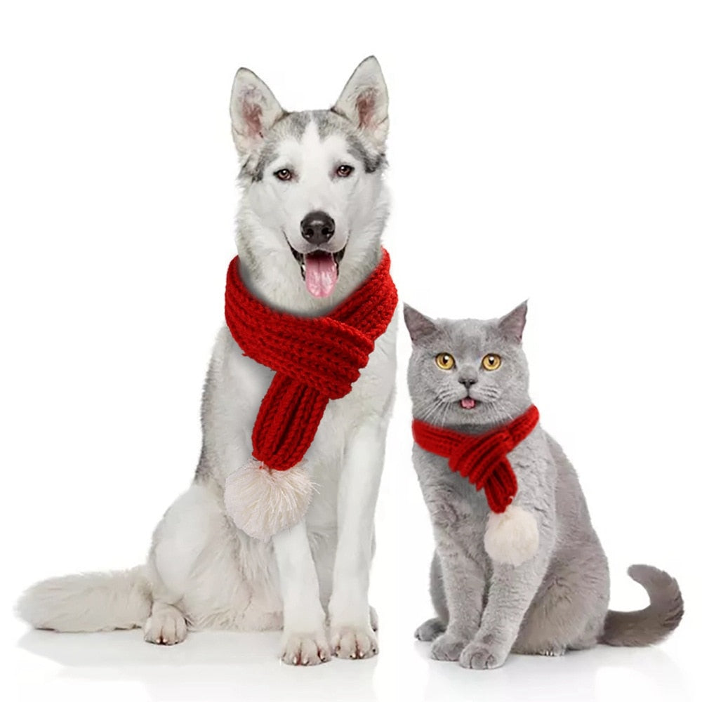 French Bulldog Christmas Pet Product for Training Sessions-fadou
