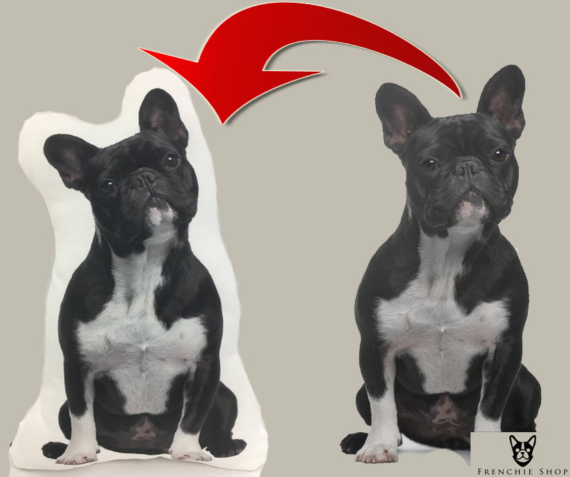 French Bulldog Custom Throw Pillow Cover for Frenchie Fans-fadou