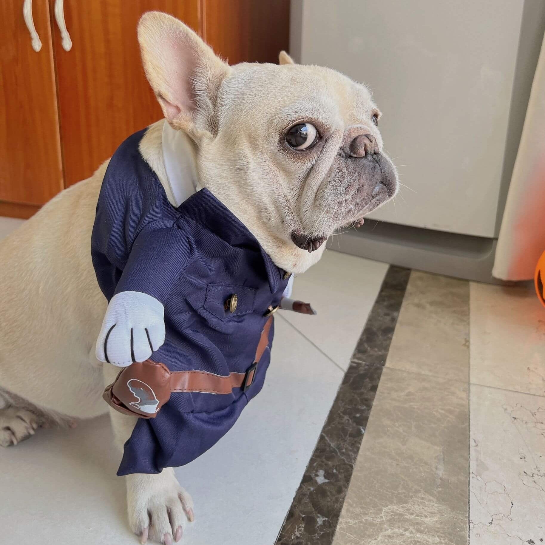 Halloween Funny Halloween Cosplay for Training Sessions-fadou